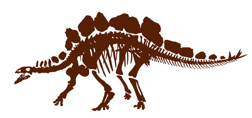 Skeleton of ancient large carnivorous dinosaur.  © designer_an