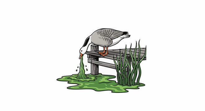Gray goose regurgitates green slime onto wooden dock