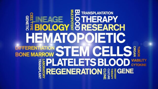 Hematopoietic Stem Cells animated word cloud-text design animation tag kinetic typography seamless loop.