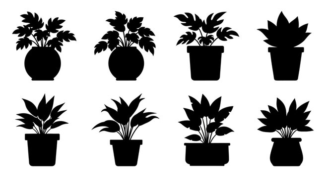 Black silhouettes of potted houseplants variety.