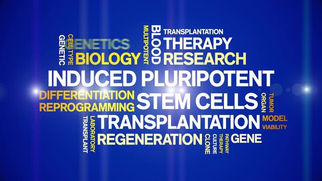 induced Pluripotent Stem Cells animated word cloud-text design animation tag kinetic typography seamless loop.