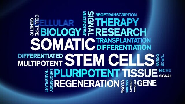 Somatic Stem Cells animated word cloud-text design animation tag kinetic typography seamless loop.
