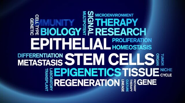 Epithelial Stem Cells animated word cloud-gross domestic product animation tag kinetic typography seamless loop.