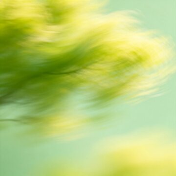 Abstract Green Leaves and Blurred Nature Background
