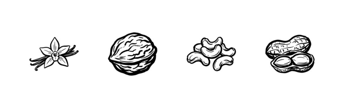 Baking Spices and Organic Nut Varieties with Fluid Ink Brush Strokes and Hand-Drawn Painterly Aesthetic