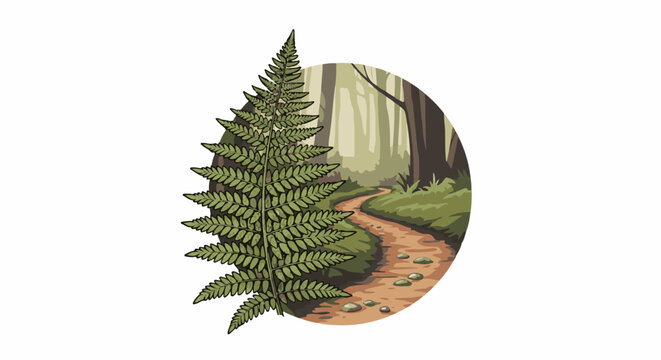 A fern frond in foreground of a forest path winding through trees