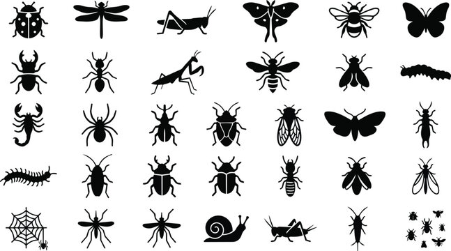 Collection of black silhouette icons depicting a variety of insects and arthropods in a grid arrangement for easy selection and use.