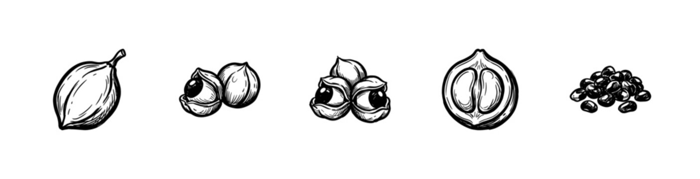 Guarana Superfood Berries and Amazonian Botanical Elements with Textured Ink Brush Strokes and Hand-Drawn Painterly Aesthetic