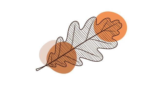 Stylized oak leaf illustration rendered in thin brown lines with overlapping orange circles for a modern autumn nature concept.