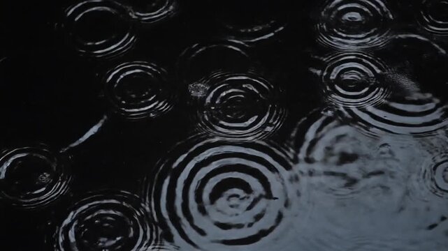 Mesmerizing concentric ripples spread across a tranquil, dark water surface, capturing the serene and rhythmic impact of raindrops falling gently during a peaceful downpour
