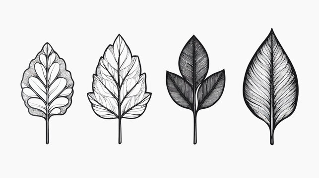 Four stylized leaves of varying shapes and shade detail, line-drawn on white