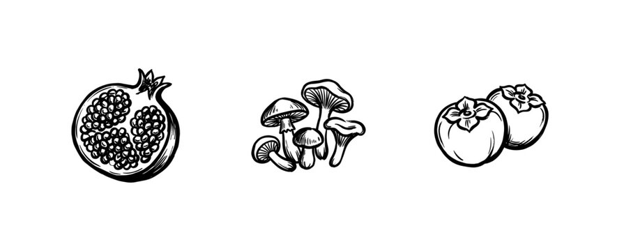 Autumn Harvest Nature Elements and Seasonal Forest Finds with Hand-Drawn Painterly Aesthetic and Fluid Ink Brush Strokes