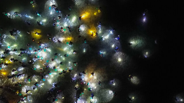 Aerial View of People catching sea worms with nets at Night the Bau Nyale Festival in Lombok, Indonesia.