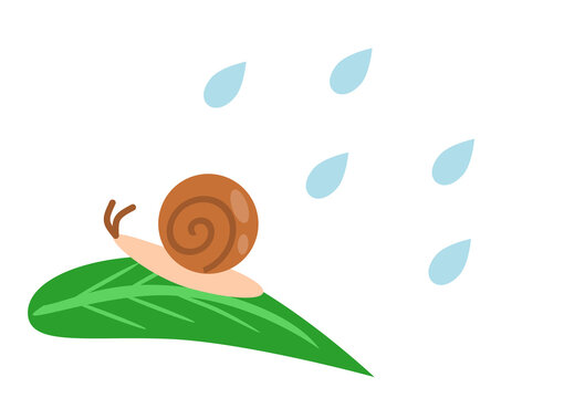雨の中、葉の上を歩くカタツムリ