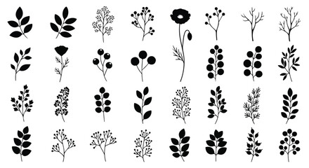 Fototapeta premium Collection of black and white botanical illustrations featuring various plant and leaf designs for nature-themed