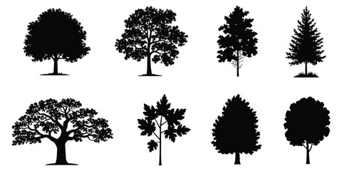 Fototapeta premium Assortment of detailed black tree silhouettes on a white background nature plant