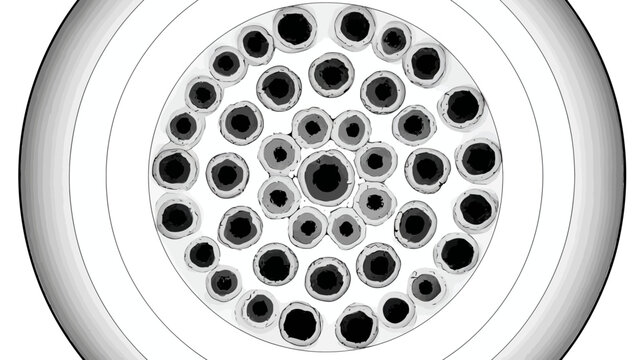 Round graphic with numerous irregular black circles, on white, inside gray-scale rings
