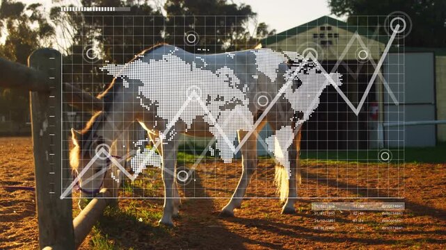 White horse grazing by fence, overlay fading in, centering map over torso forming farm chart