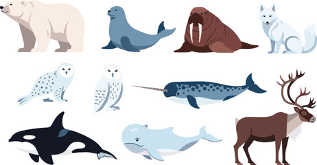 Cartoon Arctic and Marine Animal Illustrations Featuring Polar Bears, Walruses, Narwhals, and More for Digital Art, Websites, and Creative Projects © MSTSHAHINA