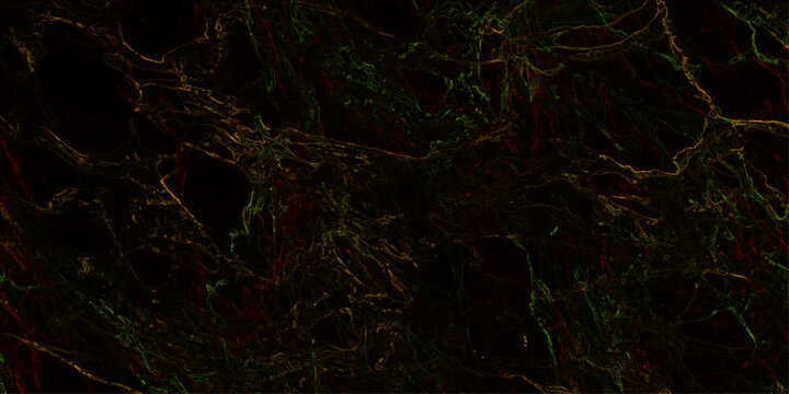 Lush green leaves and mossy rocks glisten with rain drops in a forest landscape featuring time lapse footage of falling water and a full moon
