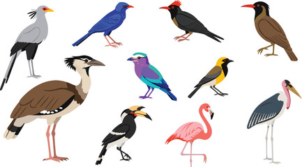 Colorful Cartoon Exotic Bird Illustrations Featuring Flamingos, Hornbills, and Other Unique Species for Digital Art and Creative Projects © MSTSHAHINA