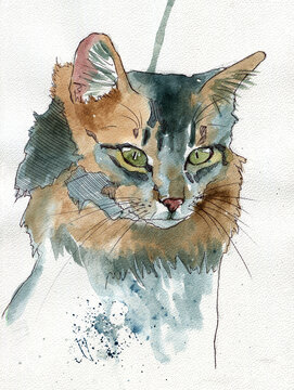 Courious cat drawing portrait in watercolor, soft colors with big green eyes on a white background with paper texture