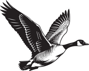 Obraz premium Flying Canada Goose Silhouette Vector Illustration in Flight