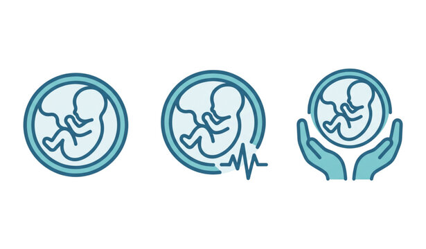 A set of three teal vector icons depicting fetal development stages
