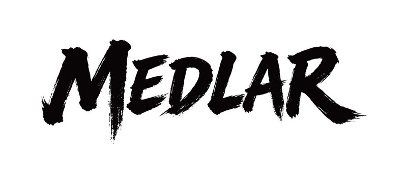 MEDLAR Handwriting