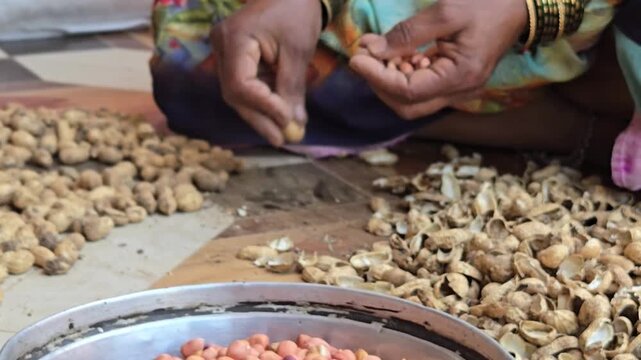 A woman&rsquo;s hands, adorned with bangles, carefully sort and peel peanuts from a large pile of shells. This traditional manual process prepares the high-quality seeds for sowing or nutritious consumption