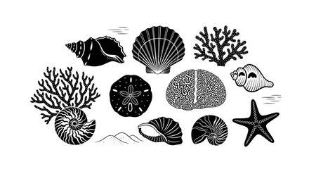Black and white sea shells collection. © Nasoha