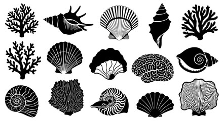 Black and white seashells and corals. © Nasoha