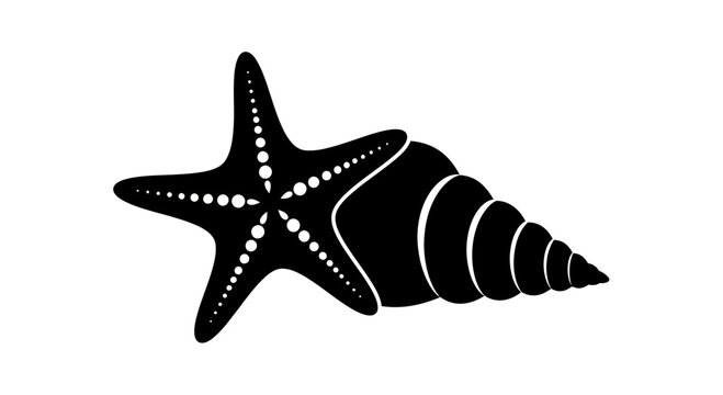 Black starfish and conch shell.