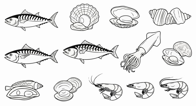 A collection of marine life illustrations, featuring fish, shellfish, and crustaceans