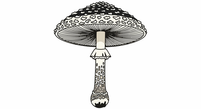 A detailed illustration of a distinctive speckled mushroom with gills