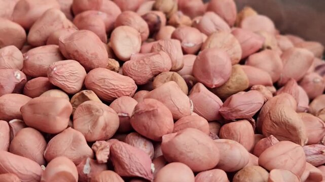 Java peanuts known as spanish peanuts are a small, round variety of groundnut with pink skin. They have high oil content and are often used for premium products like peanut butter or snacking.