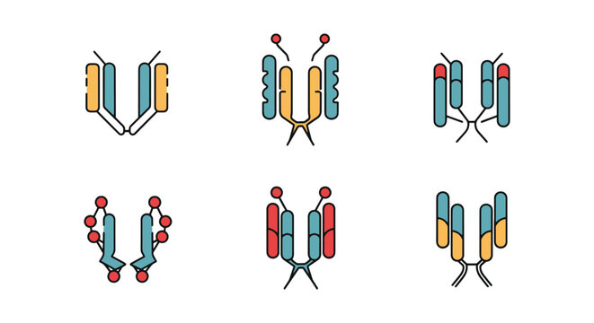Antibody Line art vector set simple abstract color shapes