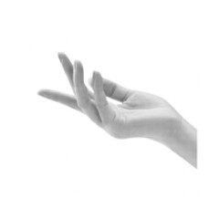 Obraz premium Minimal Halftone Shadow Elegant Hand Pose 