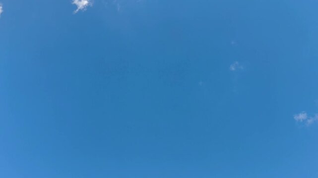 Curious cirrus clouds moving at noon