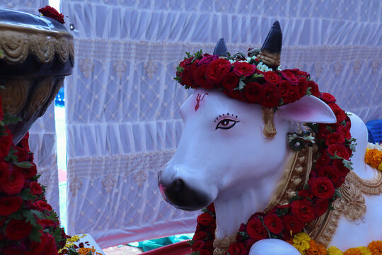 The sacred Nandi bull and the Lingam in Gujarat, Shiva, religion, Hinduism at Mysore, India.
