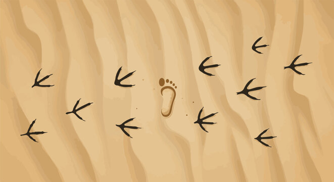 A single human footprint surrounded by many bird tracks on sand