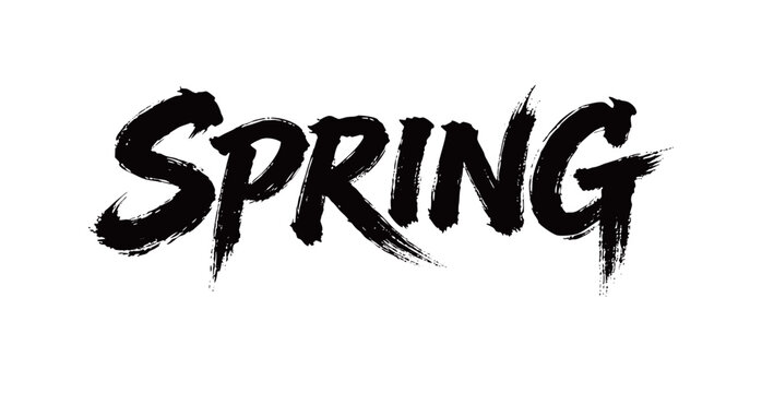 SPRING Handwriting