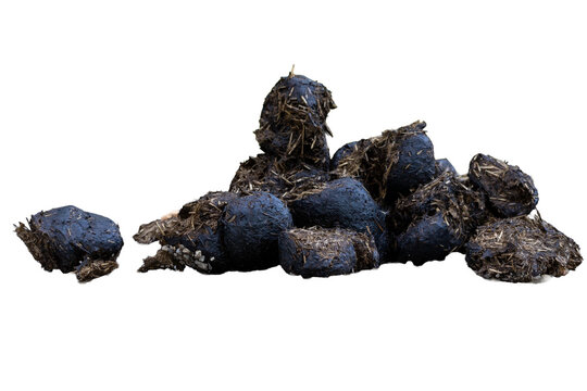 Horse manure droppings isolated on transparent background