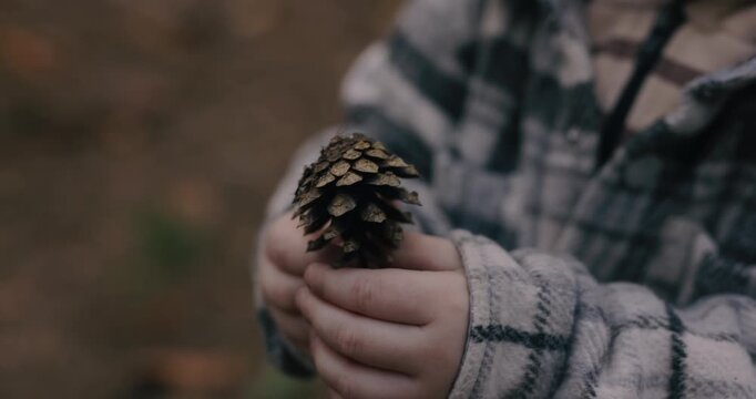 Handheld cinematic shot of a small pine cone in a kid's hands