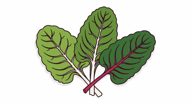 A stylized illustration of three colorful swiss chard leaves on a white background