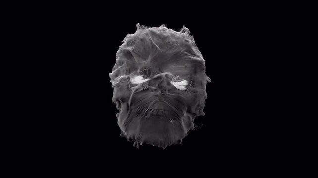 Abstract Smoke Face Visual Effect