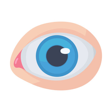 Colorful Human Eye Illustration with Blue Iris and Light Skin Tone for Medical Purposes