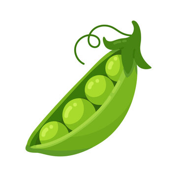 Healthy and Fresh A Cartoon Illustration of Green Peas in a Pod on a White Background