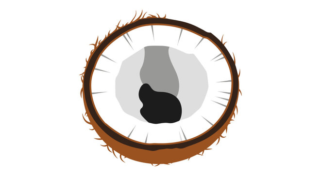 A top-down view of a halved coconut with intricate detailing