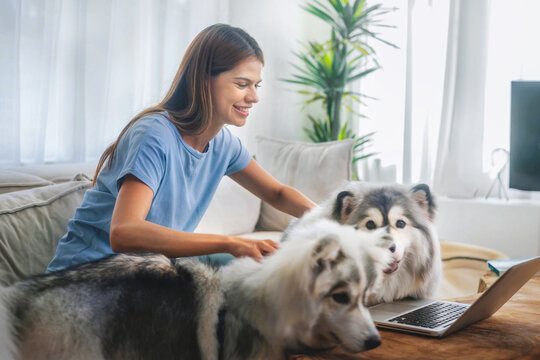 Young woman smiles with two dogs on a cozy couch